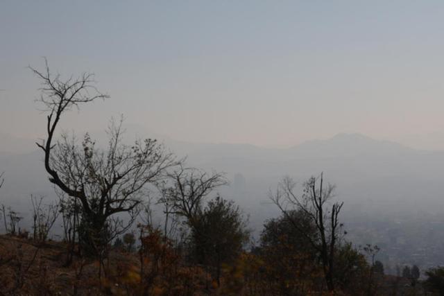 اگر دانش‌آموز و دانشجوی سالم نداشته باشیم، آموزش به درد نمی‌خورد