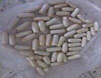 جاساز ۱۰۰ بسته تریاک در معده یک مسافر در قائن