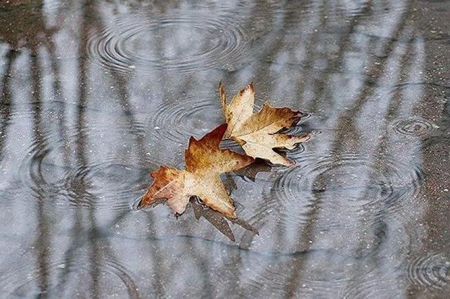 کاهش ۲ درجه‌ای دمای همدان/ بارش یک میلیمتری باران در شیرین‌سو
