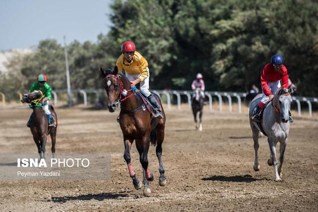 معرفی برترین‌های مسابقات کورس سوارکاری پائیزه کشور در گنبدکاووس