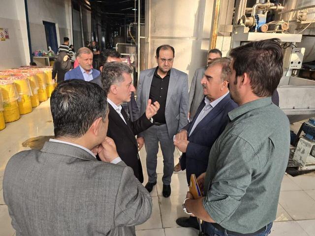 فرماندار رودسر:تنها حدود ۱۰ تا ۲۰ درصد پرتقال‌های گیلان وارد چرخه فرآوری می‌شود