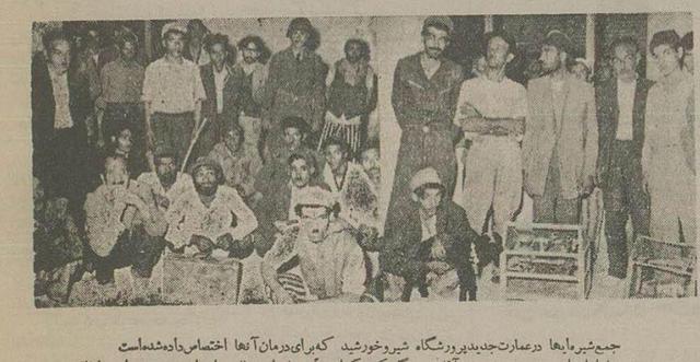 بلبل، طوطی و گوسفند را در اهواز معتاد کردند! + عکس