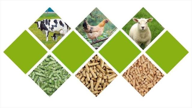 سامانه بازارگاه عامل رانت و فساد در توزیع نهاده دامی