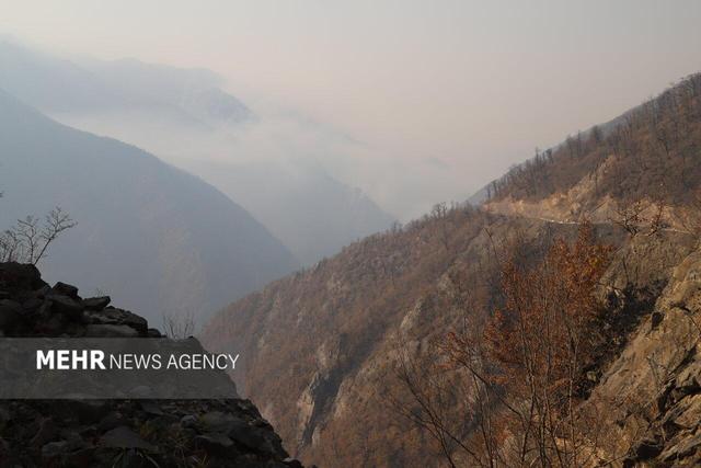 آماده‌باش کامل یگان حفاظت محیط‌زیست در جنگل‌های آذربایجان شرقی