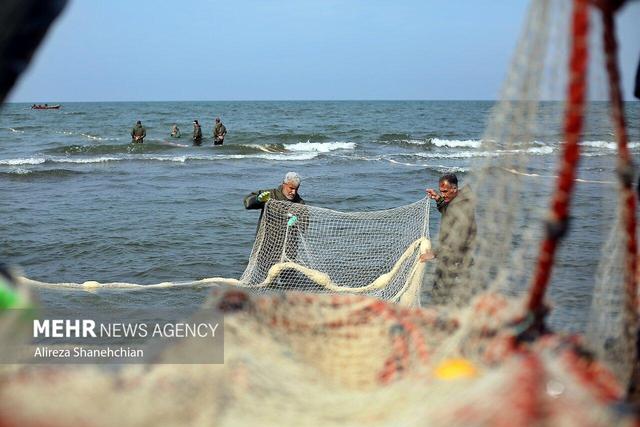 دادرس: شرایط دریای خزر برای فعالیت‌ های دریایی موقتاً نامناسب است
