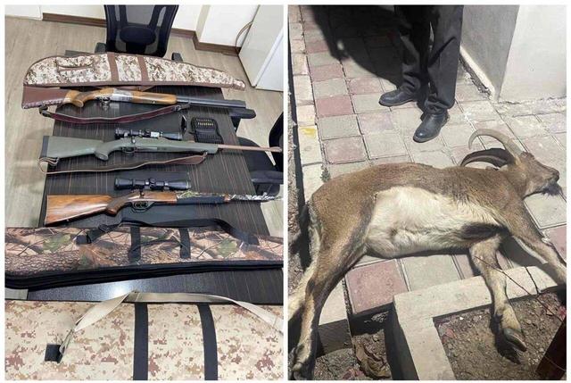 انهدام چهارمین گروه متخلف شکار غیرمجاز در دلیجان