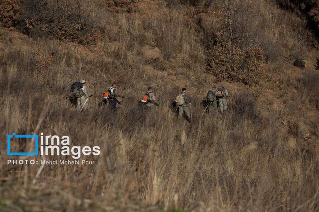 فرماندار چالوس: رصد شبانه‌روزی جنگل الیت ادامه دارد