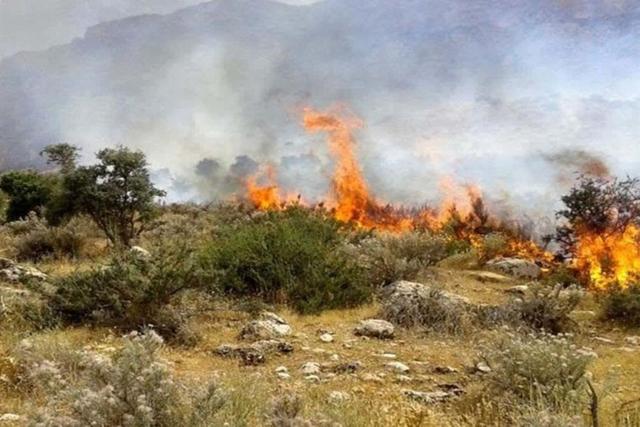 آتش دوباره به جان جنگل‌های کارمزد سوادکوه افتاد