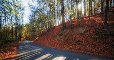 پیش‌بینی روز‌های بدون بارش پاییزی تا اواسط هفته در مازندران