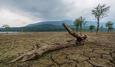 کاهش ۶۹ درصدی باران در سرزمین باران