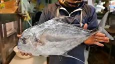 طرز تهیه دو غذای خیابانی با "ماهی ماکرل" در اوکیناوای ژاپن (فیلم)