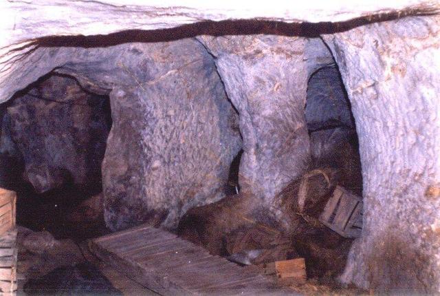 قائم‌مقام وزیر میراث‌ فرهنگی : ۴۰ مسجد از ۱۵ استان نامزد ثبت جهانی هستند