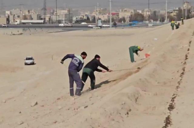 شروع کاشت فضای سبز ۸ هکتاری در ورودی استادیوم یادگار امام تبریز