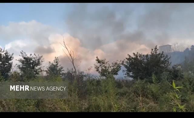 آتش‌سوزی گسترده در جنگل‌ها های کومله؛ ۱۵ هکتار طعمه حریق شد