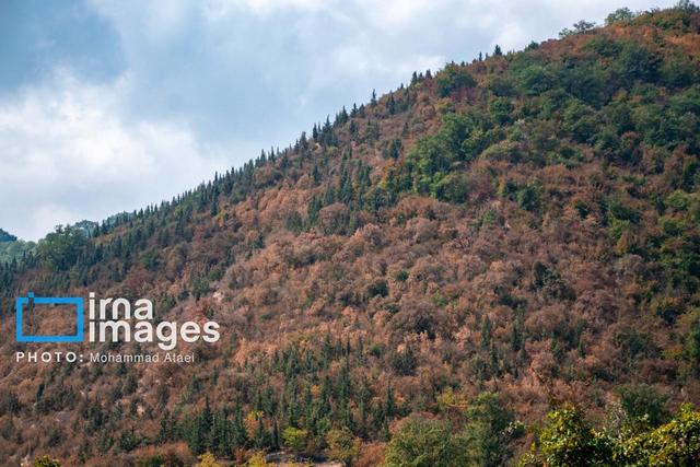 آتش در جان هیرکانی