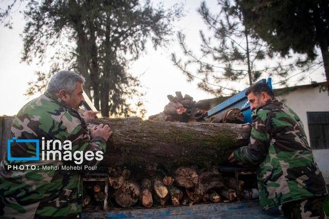مدیرکل منابع طبیعی مازندران: قاچاقچیان چوب در آمل و بابل دستگیر شدند