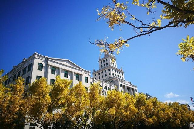 چین دانشجویان دکتری را غافلگیر کرد: پایان‌نامه لازم نیست!