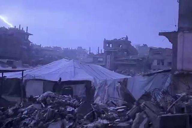 آلمان ۸ الاغ را از غزه پذیرفته اما با پذیرش کودکان مجروح غزه مخالفت کرد!