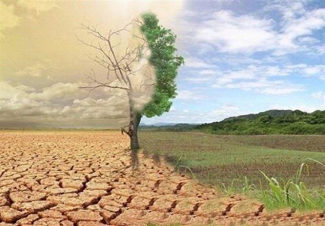 نهج حیات| فرزندان دنیا یا فرزندان آخرت؛ انتخابی سرنوشتساز