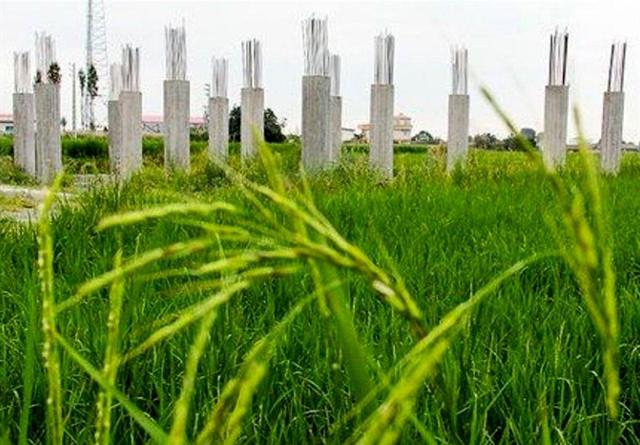 کوچک اما تاثیرگذار در کشاورزی کشور