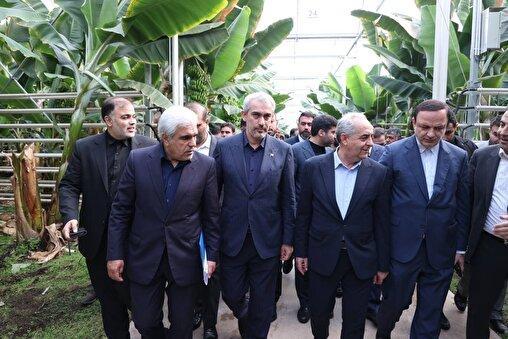 زیان ۲۰ میلیون دلاری مقابل چشم وزیر اقتصاد/ فاجعه‌ای که به نام «صادرات غیرنفتی» فاکتور می‌شود