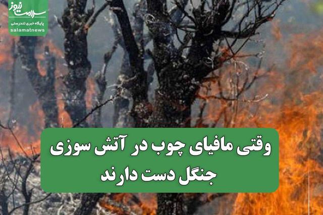 وقتی مافیای چوب در آتش سوزی جنگل دست دارند