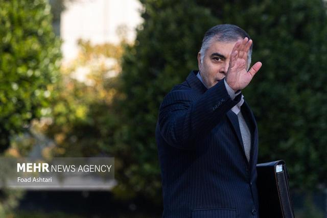 پاک نژاد: ممکن است «شورای عالی انرژی» تشکیل شود