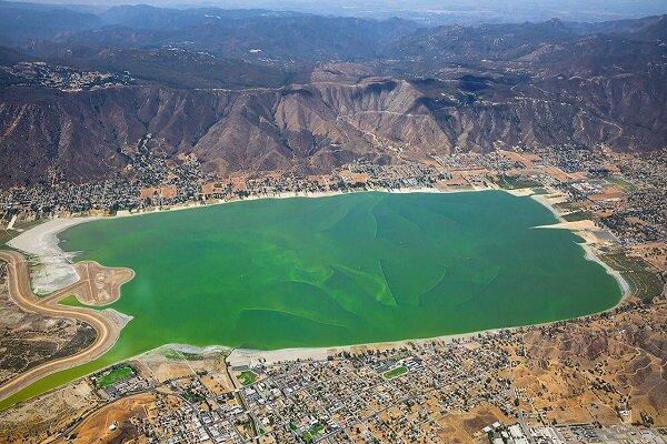 جلوه ای از تنوع زیستی زیبای استان سیستان و بلوچستان