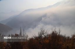 سردار بنی اسدی فر: ۵۲۰ نفر در اطفای حریق جنگل‌های چالوس مشارکت کردند
