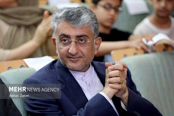 نوبانی: بندرعباس آماده توسعه همکاری‌های بین‌المللی است