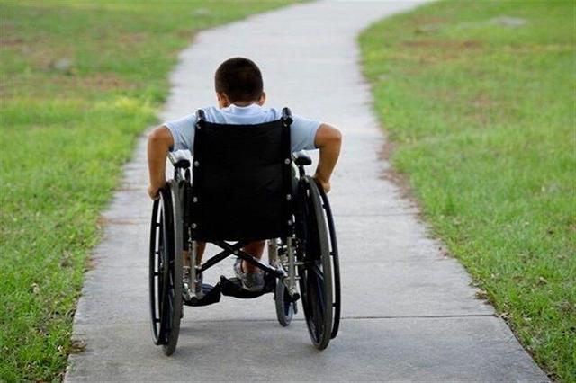 بیش از ۲۴ هزار توانخواه از خدمات بهزیستی بوشهر استفاده می‌کنند