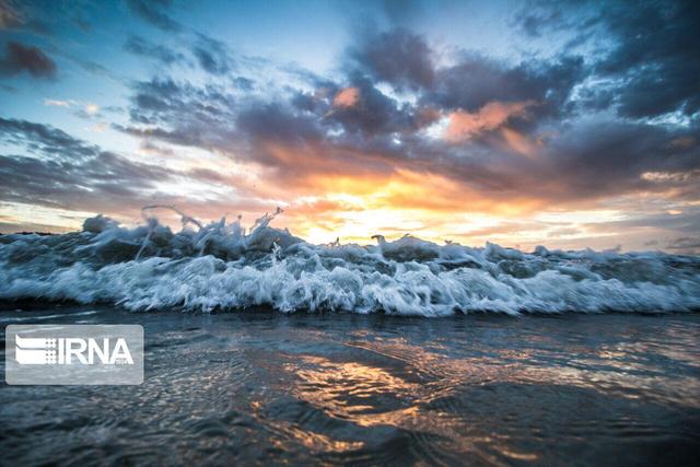 بوشهر بارانی می شود