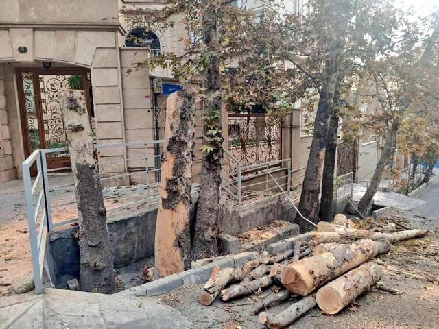 جزییاتی از ایمن‌سازی محیطی در باغ فردوس تهران 