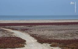 عکس/ آخرین نفس‌های بزرگ‌ترین خلیج خزر