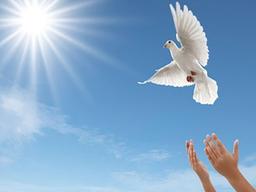 رهایی یک محکوم به قصاص از دار مجازات در سنندج