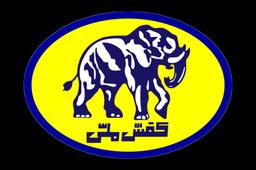 ورود دیوان محاسبات به واگذاری غیرقانونی ملک شرکت کفش ملی