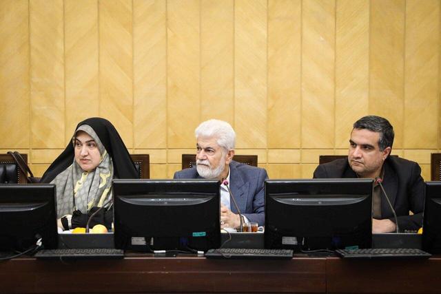 مرگ ۱۴ نفر همزمان با بررسی دو ساعته قانون هوای پاک