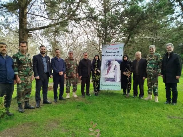 کاشت نهال گونه‌های جنگلی در بندرانزلی