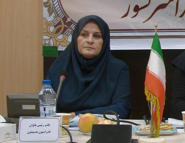 همدلی عامل رشد چشمگیر ورزشکاران زنجان است