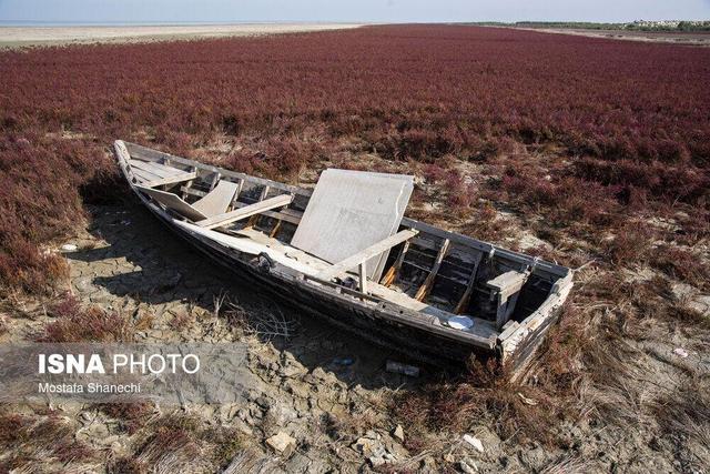 آخرین نفسهای بزرگترین خلیج خزر