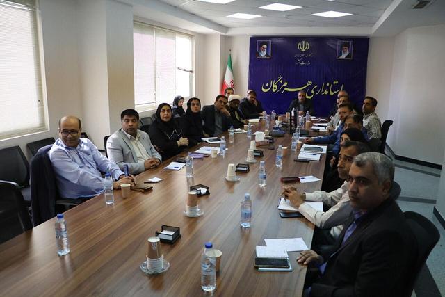 سالم‌سازی کامل شبکه توزیع آرد در هرمزگان دنبال می‌شود