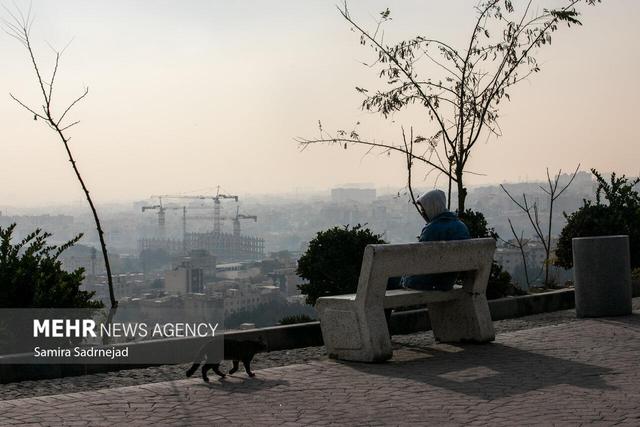 تهران در چنگال آلودگی؛چرا برخی ادارات مصوبات اضطرار را نادیده می‌گیرند