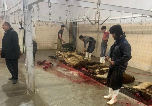 کشتارگاه‌های سنتی بوشهر تعطیل می‌شوند