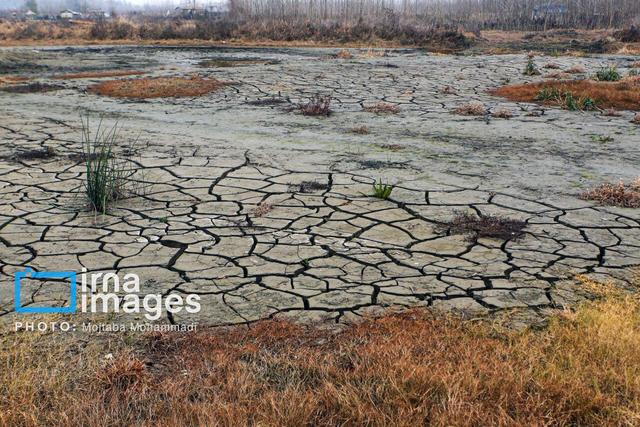 سکوت باران در خراسان جنوبی