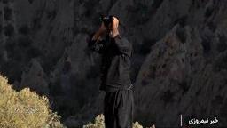 آغاز طرح سرشماری حیات وحش در مناطق گرمسیری کهگیلویه و بویراحمد + فیلم