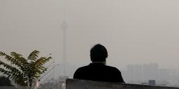 ۳۵۷ تهرانی در یک هفته بر اثر آلودگی هوا جان باختند