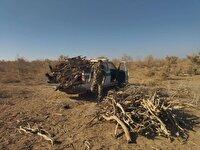 کشف و توقیف حدود ۶۰۰ کیلوگرم درختچه‌های تاغ در ششتمد