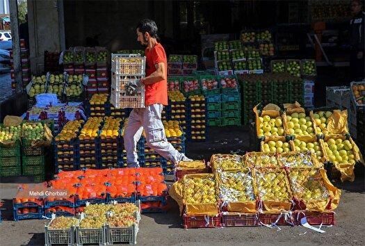 نگاهی به موثرترین عوامل گرانی میوه در فصل برداشت
