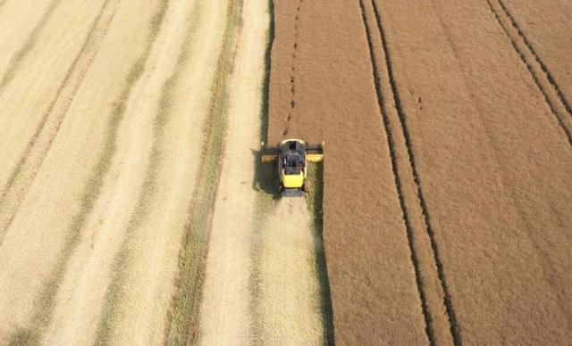 تبدیل مزارع جهان به ابزاری قدرتمند برای مقابله با تغییرات اقلیمی