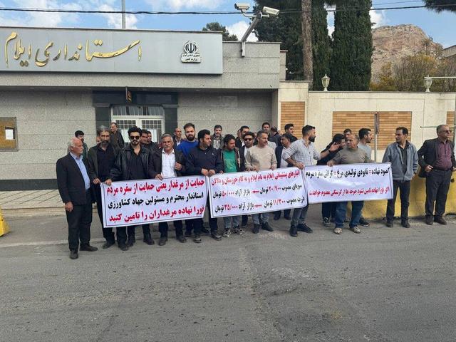 کمبود سویا و نهاده دامی مرغداران ایلام را با مشکل مواجه کرده است